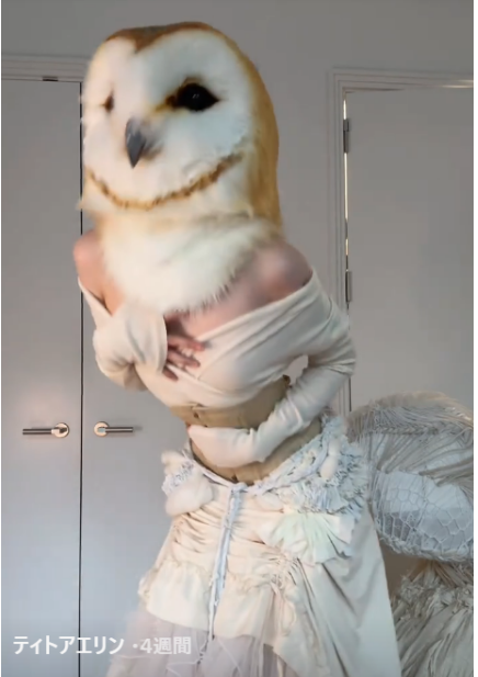 動物着ぐるみ cosplay ティトアエリン