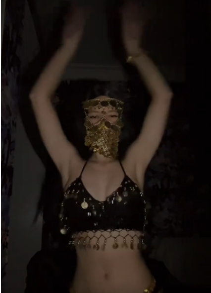 ベリーダンス focrocodude