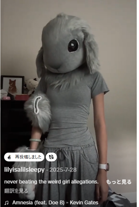 動物の覆面 lilyisalilsleepy