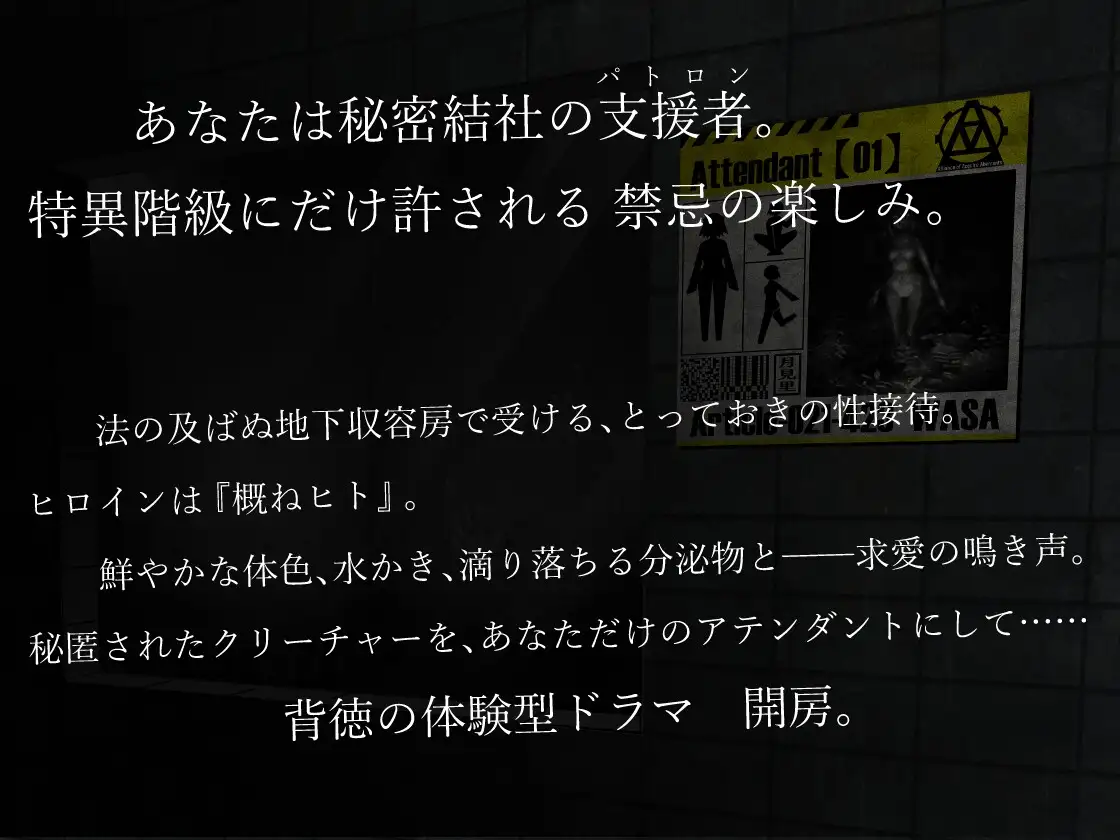 世界観解説